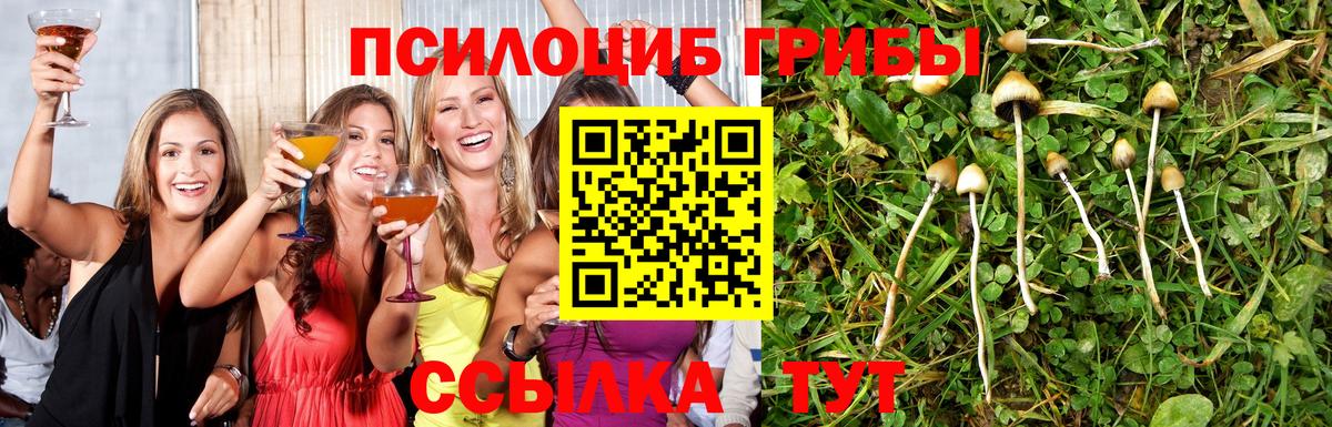 как найти   Псилоцибиновые грибы Magic Shrooms  Вход с VPN  Энгельс 