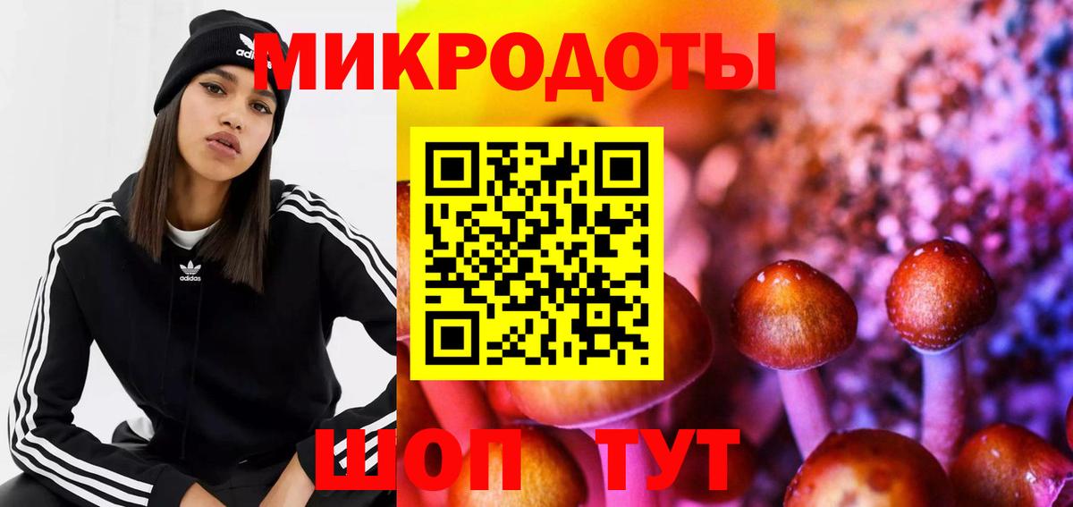 Галлюциногенные грибы GOLDEN TEACHER Энгельс